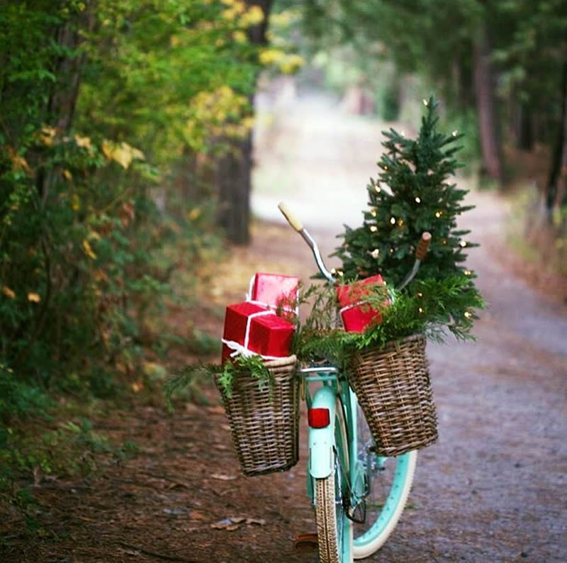 Imagem de Natal com uma bicicleta carregando uma árvore de Natal e presentes.