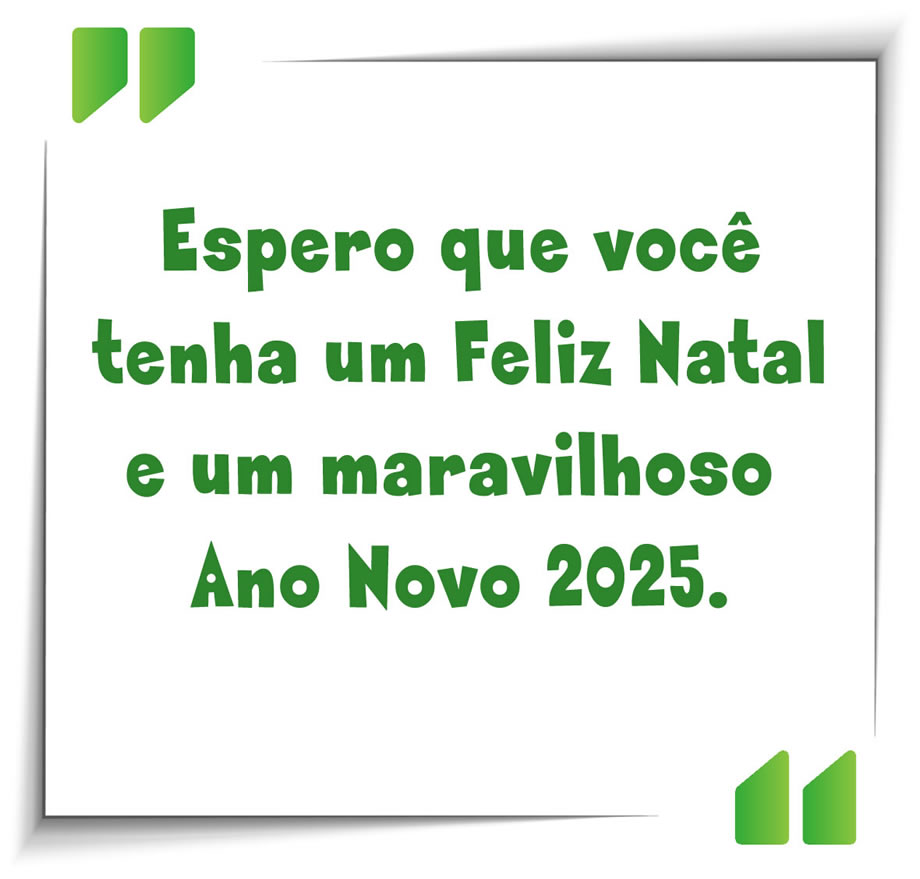 imagem com texto: Espero que você tenha um Feliz Natal e um maravilhoso Ano Novo 2025.