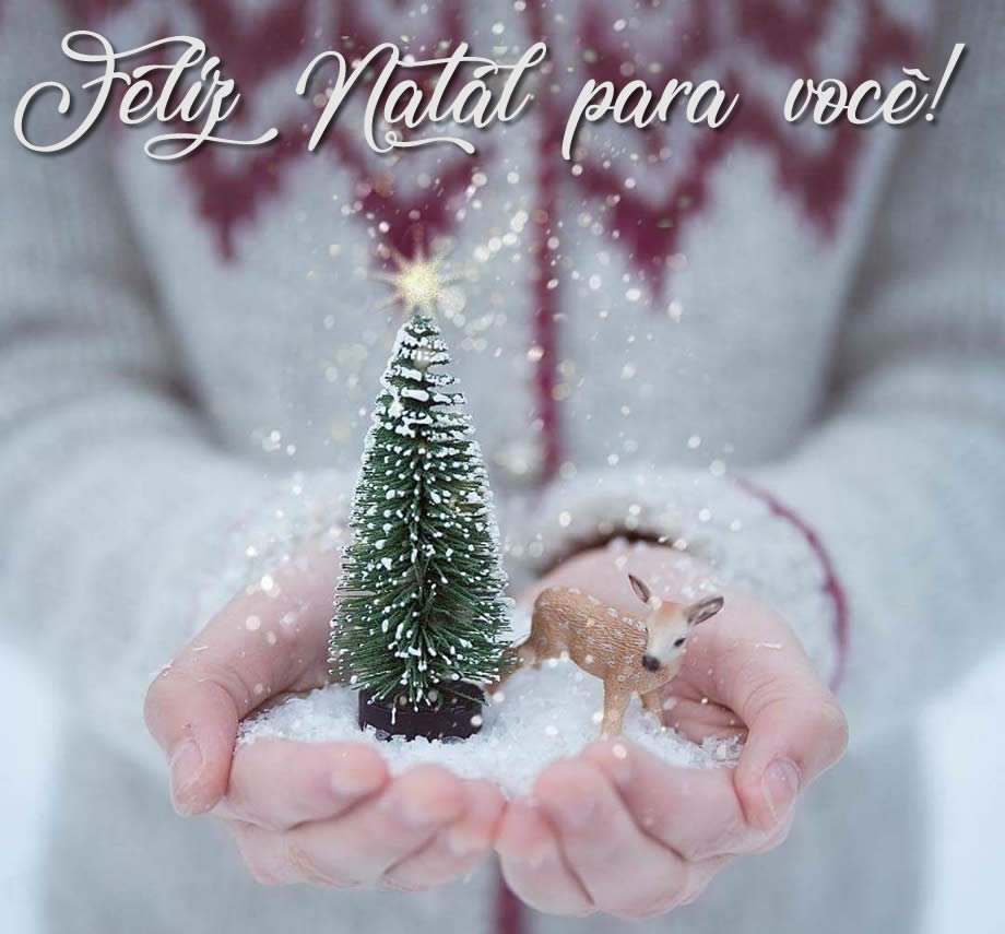 Desejamos um Feliz Natal a todos  Acreditamos na força de quem planta o  futuro junto com a gente. Feliz natal com muita celebração com a família e  amigos! Hou-Hou! 🎅 . . . #