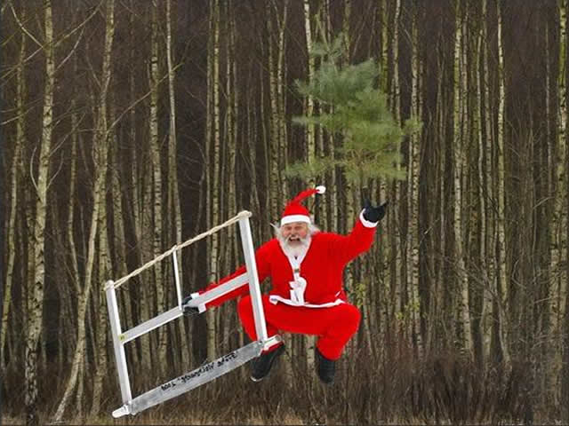 Uma foto engraçada com o Papai Noel cortando uma árvore de Natal e pulando de alegria